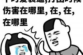 天元融资清欠服务